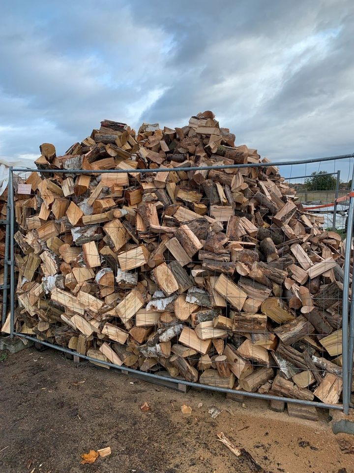 Hartholz Eiche Birke Robinie Buche Brennholz Kaminholz Ofenholz in Oranienburg