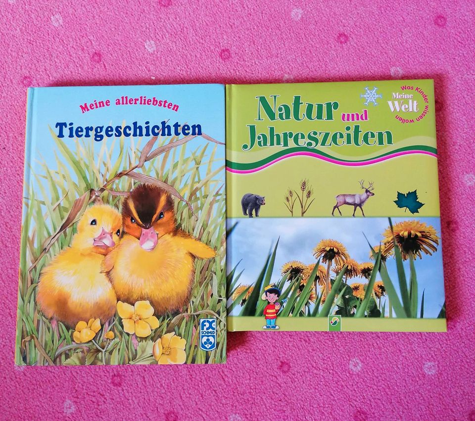 Diverse Kinderbücher, Bücher in Norden