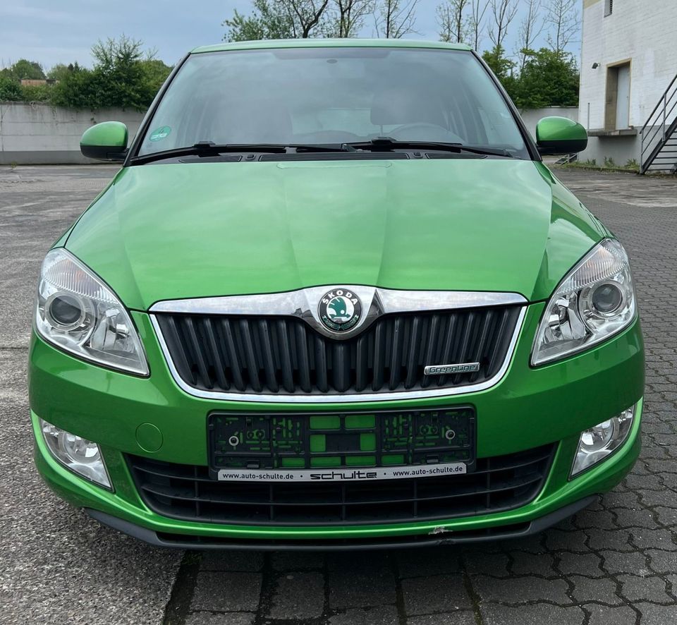 Skoda Fabia Greenline in Arnsberg