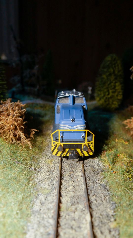 Märklin H0 Diesellok DHG 500 in Minden