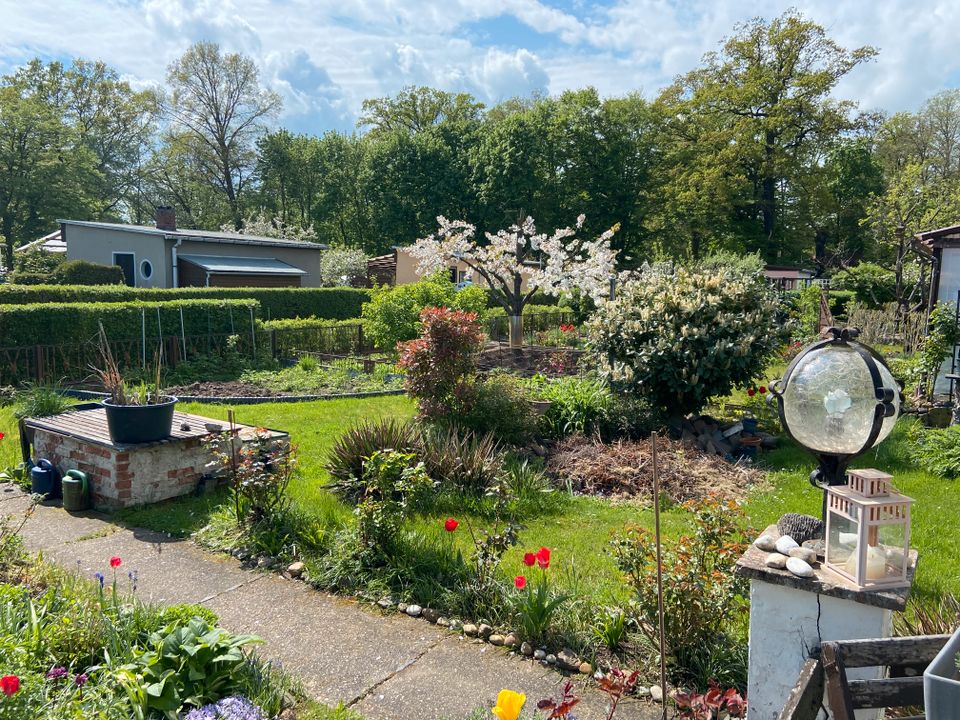 Pachtgarten in Dessau-Waldersee Am Luisium in Dessau-Roßlau