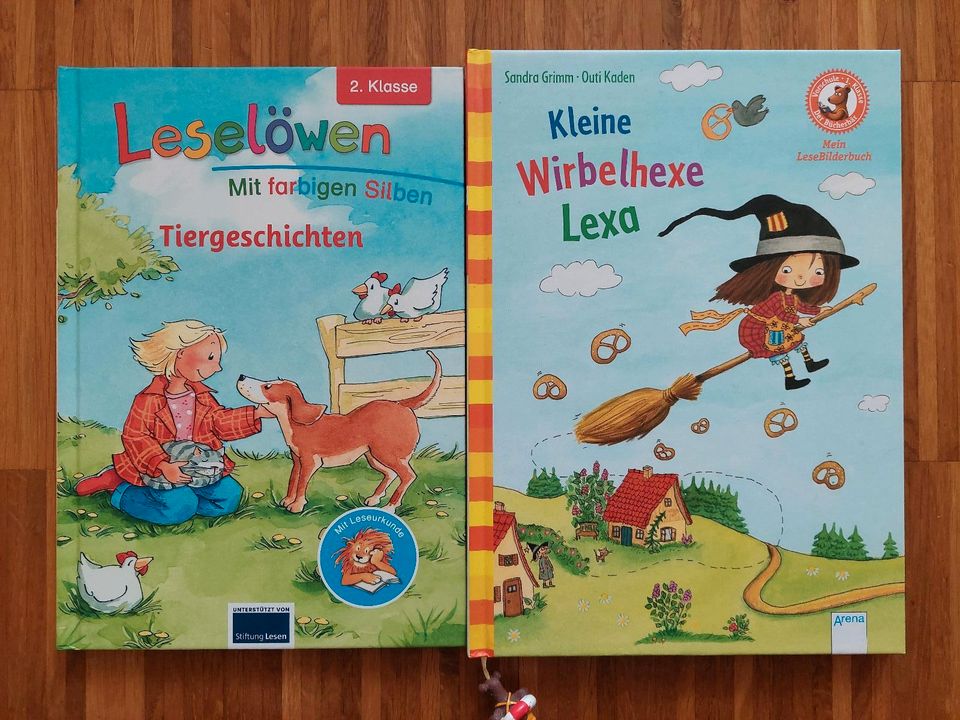 Erstleser Bücher Klasse 1 Tiergeschichten Kleine Wirbelhexe Lexa in Gerlingen