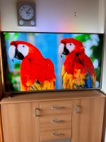 Philips 65zool Smart TV 4K Rheinland-Pfalz - Bingen Vorschau