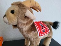 1.FC Köln orginal Hennes neu .. 25cm Nordrhein-Westfalen - Remscheid Vorschau