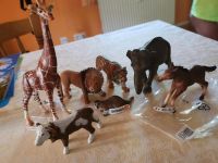 Schleich Giraffe Elefant Fohlen Kalb Löwe etc Bayern - Berchtesgaden Vorschau