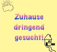 Dringend Wohnung oder Haus gesucht!!! Nordrhein-Westfalen - Beckum Vorschau