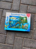 Puzzle Dinos Ravensburger 3x49 Teile Nordrhein-Westfalen - Neunkirchen-Seelscheid Vorschau