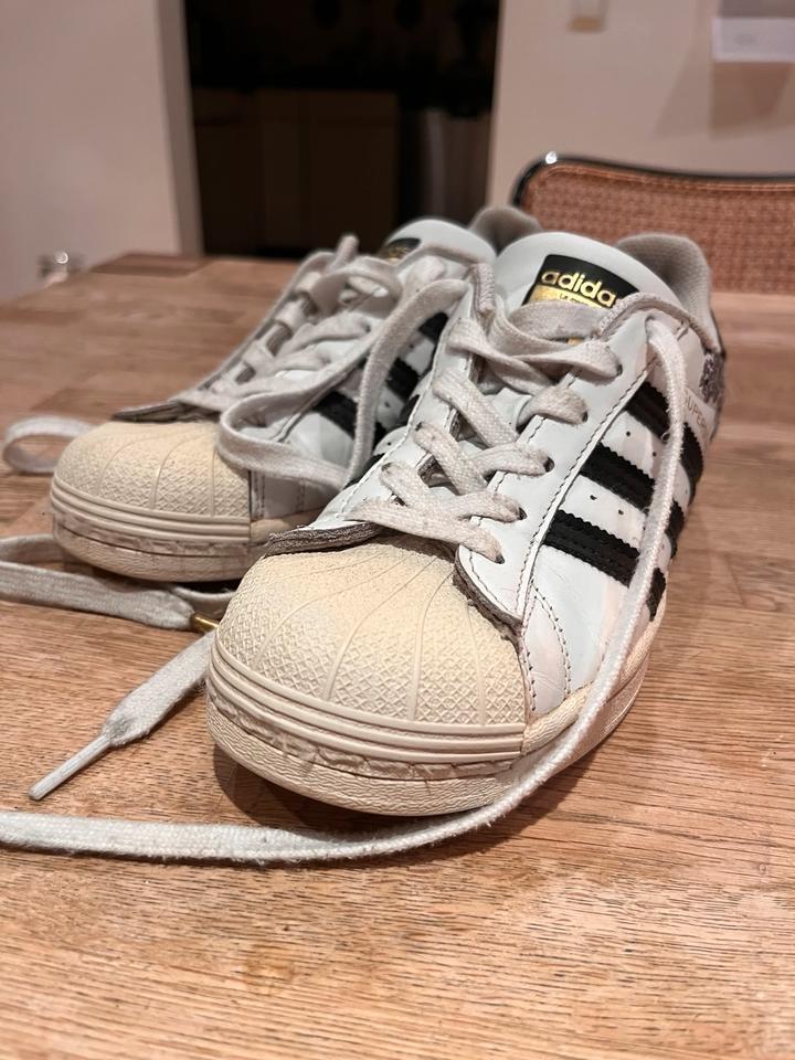 Adidas Superstar Sneaker in Sinsheim