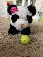 FurReal Friends Pom Pom My Baby Panda Pet Sachsen - Radebeul Vorschau