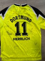 Von CL-Siegern (97) signiertes BVB Trikot Saison 1995/96 Nordrhein-Westfalen - Unna Vorschau