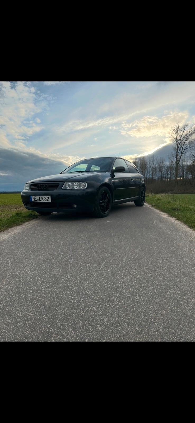 Abbildung des Autos Audi A3 1.8t