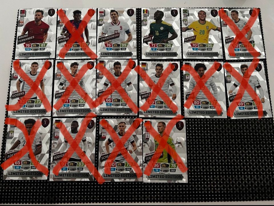 PANINI ADRENALYN WM2022 Karten in Warendorf