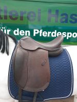 Euroriding Achat doubliert Sachsen-Anhalt - Möckern Vorschau