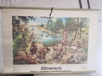 Altmensch Rolltafel Schautafel Lehrtafel Vintage Konvolut Mecklenburg-Vorpommern - Neuburg (Nordwestmecklenburg) Vorschau