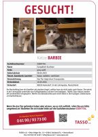 ❣️Katze „Barbie“ wird seit dem 16.05.2024 vermisst. PLZ:88326 und Baden-Württemberg - Aulendorf Vorschau