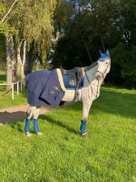 Kentucky Horsewear Set WB DL Navy Blau Pankow - Weissensee Vorschau