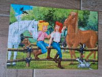 Bibi & Tina Puzzlekoffer 2 Puzzles (inkl. Versand) Brandenburg - Eggersdorf Vorschau