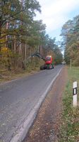 Wald Pflege Durchforstung  Verkehrssicherung Sturmschaden Brandenburg - Herzberg/Elster Vorschau