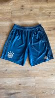 Adidas Trikothose FC Bayern München dunkelblau Gr. 164 Niedersachsen - Bad Zwischenahn Vorschau