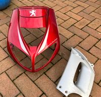 Peugeot Speedfight Frontverkleidung Nordrhein-Westfalen - Ladbergen Vorschau