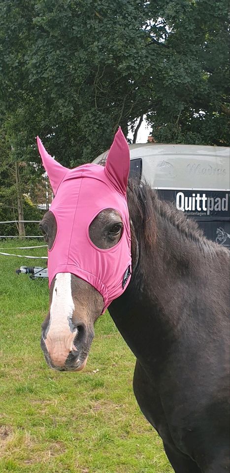 Heval Function Maske Pink Cob/VB Rennmaske in Geesthacht