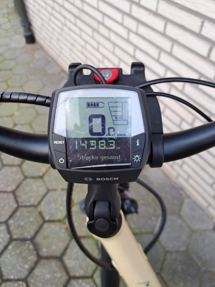 E-Bike Damen Velo de Ville CEB800 Premium Style Vanille in Dissen am Teutoburger Wald