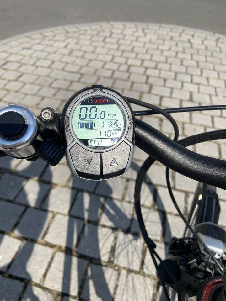 Pegasus e-Bike Premio Nu-E Damenrad, Rahmengröße 45cm in Böblingen