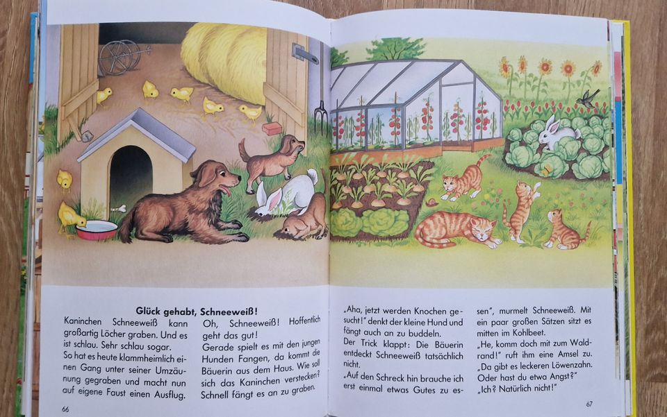 Buch Supertolle Geschichten vom Bauernhof in Hannover