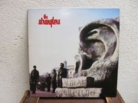 The Stranglers LP, Pop Rock / New Wave 1984, Schallplatte Bayern - Kumhausen Vorschau