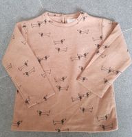 Zara Pullover Größe 104 neu unisex Nordrhein-Westfalen - Krefeld Vorschau