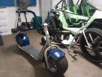 E Scooter Roller Fat Wheel Scrooser Original Deutscher Hersteller Hessen - Wetzlar Vorschau
