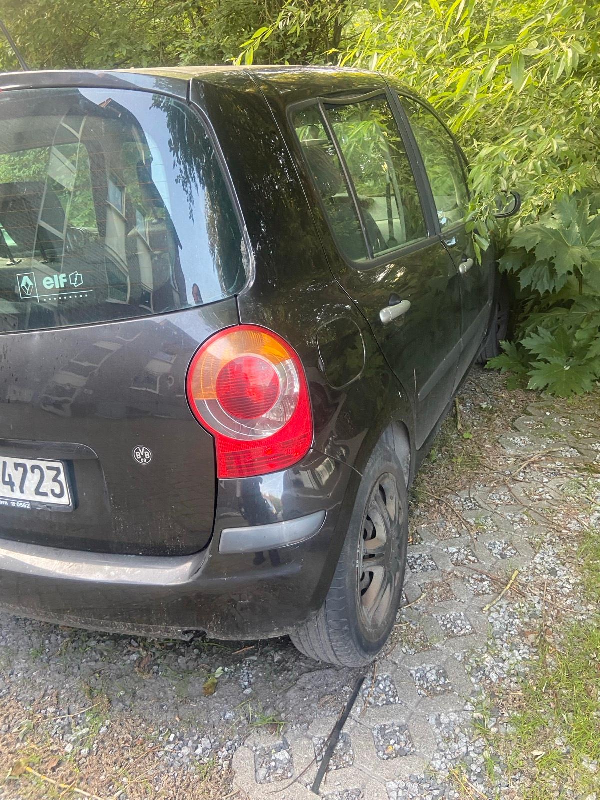 Abbildung des Autos Renault Modus