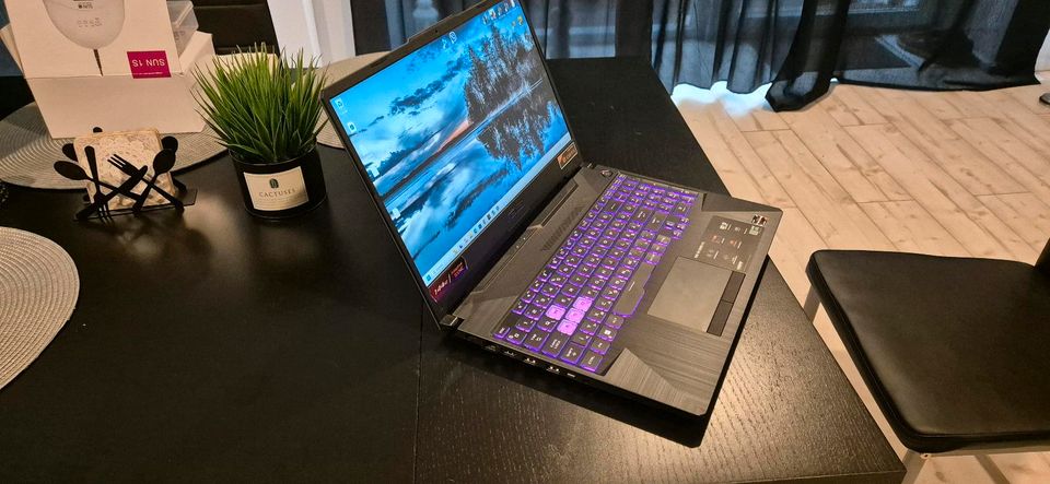 Asus Tuf Gaming A15 FA506QM-HN018W in Jülich