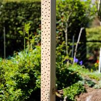 Wildbienenhotel Stamm Eiche 100cm Nordrhein-Westfalen - Hiddenhausen Vorschau