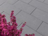 DIEPHAUS Terrassenplatten PURA BASALT - 80x40x4cm / 60x40x4cm - AKTION -  ARTIKEL-NR.: 04.61503 / 04.61520 Nordrhein-Westfalen - Waldbröl Vorschau