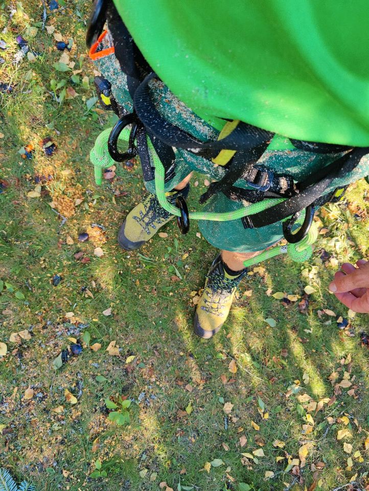 Stubbenfräsen / Wurzeln entfernen / Baumfällung in Stücken in Heidenheim an der Brenz