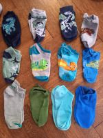 Socken Sommer 31-34 Dino Jurassic World Dinosaurier Mecklenburg-Vorpommern - Stralsund Vorschau