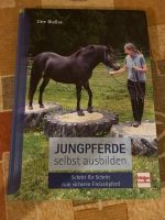Buch Pferde Leinatal - Schönau v d Walde Vorschau