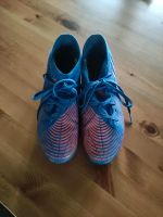 Adidas Predator Fußballschuhe 37 1/3 Niedersachsen - Glandorf Vorschau