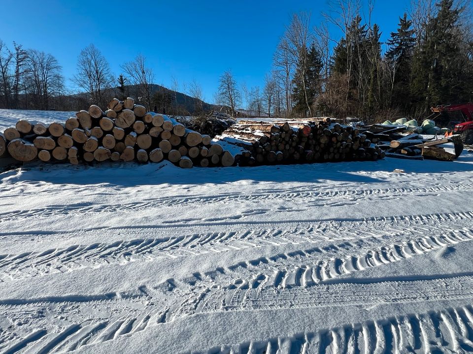 Suche Stammholz (Brennholz ) in Flintsbach am Inn