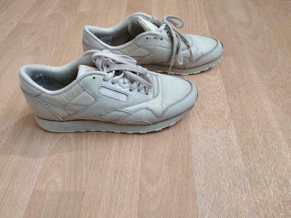 Sneaker Schuhe Reebok Classic m Schnürsenkel in Mainz