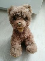 Steiff Teddybär Niedersachsen - Vechelde Vorschau