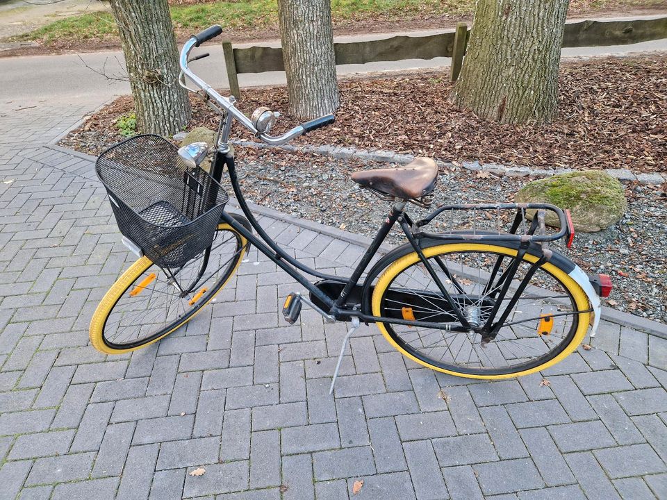 Damen Hollandrad / Citybike / Fahrrad / E-Bike in Spieka