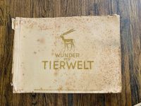 „Wunder der Tierwelt“ 1933 Sammelalbum Nordrhein-Westfalen - Hörstel Vorschau