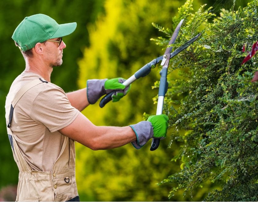 Gärtner/Gartenhilfe in Wolfsburg Minijob in Niedersachsen Wolfsburg