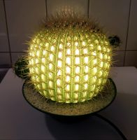 Kaktuslampe Neuwertig Kaktus Lampe mit Leuchtmittel Mecklenburg-Vorpommern - Stralsund Vorschau