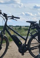 Damen E-Bike Pegasus Solero E8-Akku defekt -letztes Angebot Brandenburg - Werder (Havel) Vorschau