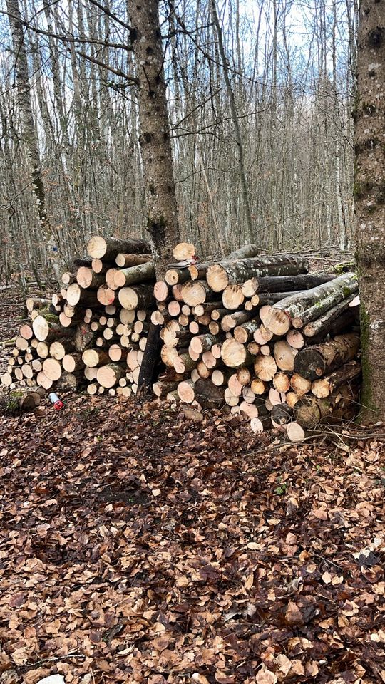 Brennholz, Kaminholz, Feuerholz, Holz, Buche, Esche, Waldfrisch, in Mehrstetten