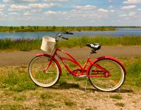 Fahrrad Damen Beachcruiser Leipzig - Mockau-Süd Vorschau