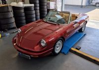 4 x NEU! Alfa Romeo Spider, Bertone, GTC Maxilite Oldtimer Felgen Nordrhein-Westfalen - Borken Vorschau